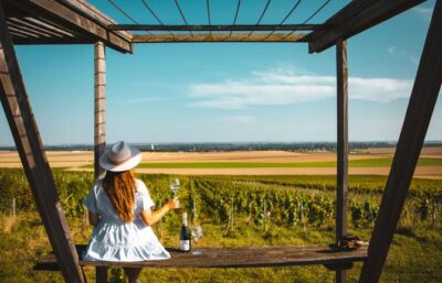 vignoble humain loge de vigne c on met les voiles coll adt marne 1 - Tourisme dans la Marne en Champagne