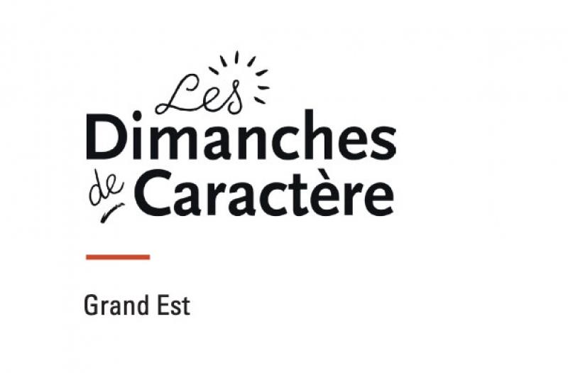 dimanche - Tourisme dans la Marne en Champagne
