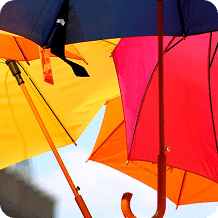 Des parapluies colorés