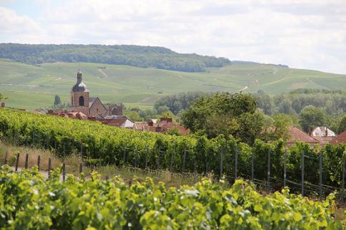 loge de vignes cumieres c evidal adt marne 14 - Tourisme dans la Marne en Champagne