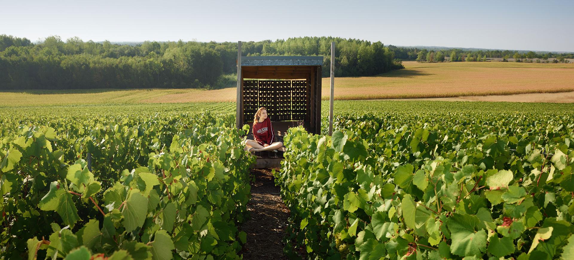 Loge de Vigne - Champagne © V. Montané