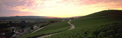mareuilcjkgraber colladt marne3 - Tourisme dans la Marne en Champagne