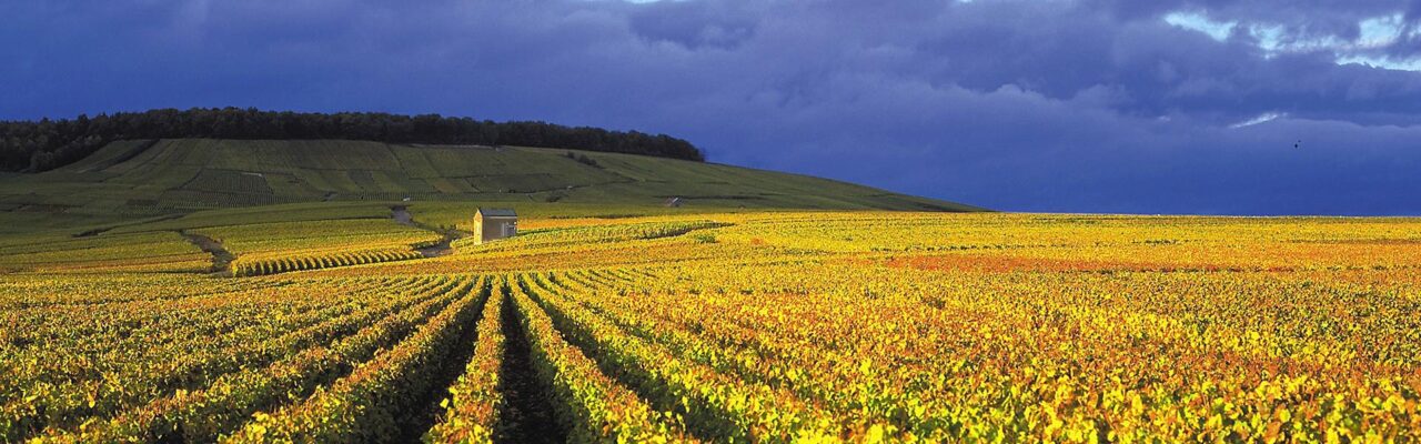 vertuscjkgraber colladt marne1 - Tourisme dans la Marne en Champagne