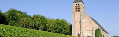 vignoble bethoncm jolyot colladt marne - Tourisme dans la Marne en Champagne