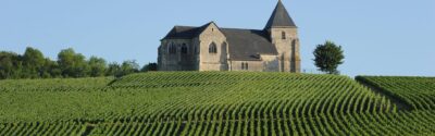 vignoble chavotcm jolyot colladt marne2 - Tourisme dans la Marne en Champagne