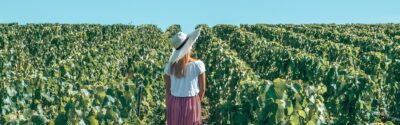 vignoble damery c les droners 1 - Tourisme dans la Marne en Champagne