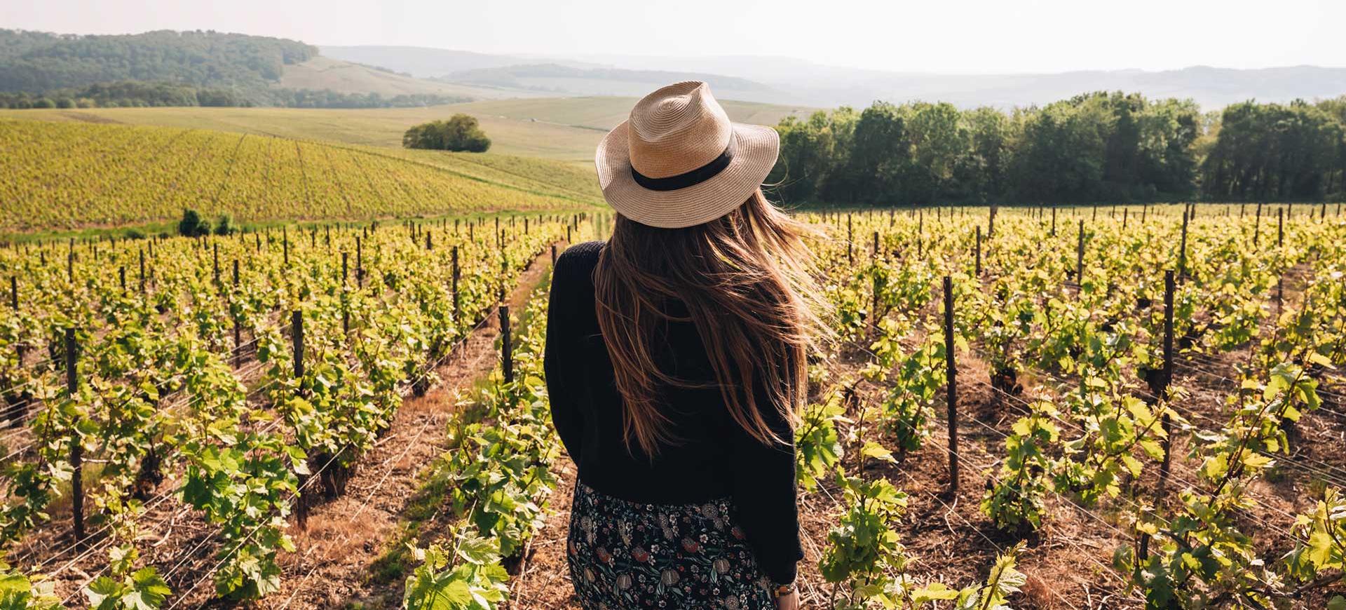 Vignoble de Champagne - Mutigny © Les Best Jobers