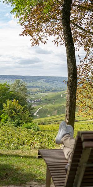 13 0 - Tourisme dans la Marne en Champagne