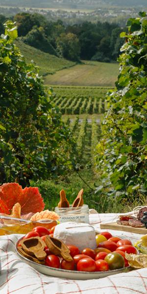 credit chilowe kotlarczik gonnet mg 5304 - Tourisme dans la Marne en Champagne