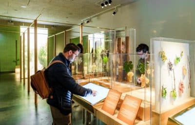 Pressoria, attraction touristique autour du champagne dans la Marne