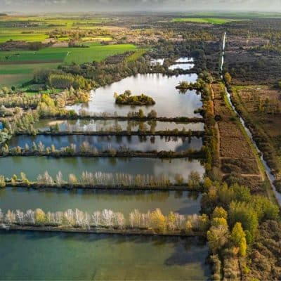 maraistgond - Tourisme dans la Marne en Champagne