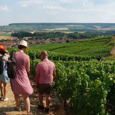 vignoble6 - Tourisme dans la Marne en Champagne
