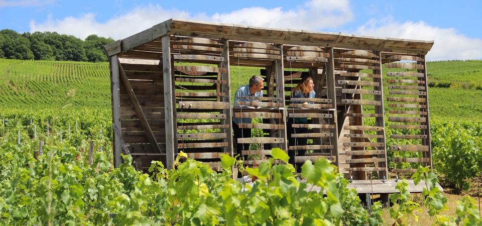 loge de vignes cumieres c evidal adt marne 2 - Tourisme dans la Marne en Champagne