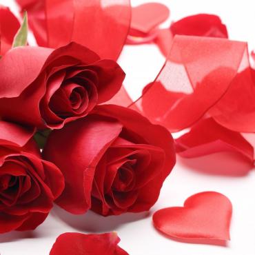 Roses & Saint Valentin